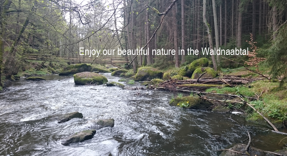 Enjoy our beautiful nature in the Waldnaabtal