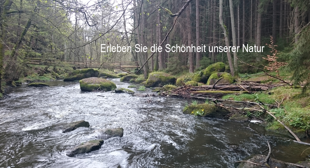 Erleben Sie die Schönheit unserer Natur